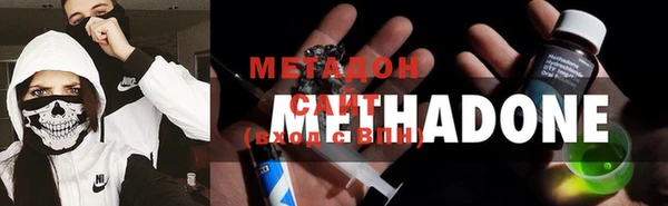 трава Белокуриха