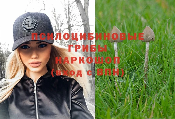 дурь Беломорск