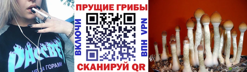 кракен ТОР  Горно-Алтайск  Галлюциногенные грибы ЛСД  цены наркотик 